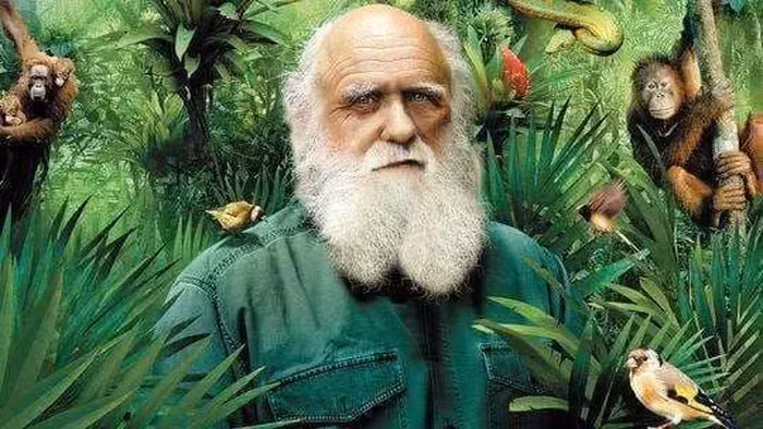 Con nguoi la sinh vat duy nhat tren Trai dat can mac quan ao?-Hinh-4