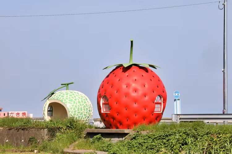 Nhung tram xe bus doc la nhat the gioi, dep nhu tac pham nghe thuat