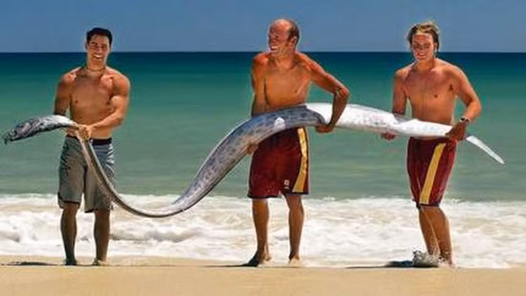 Cheo thuyen kayak, bat ngo dung trung 'ca tan the'-Hinh-5