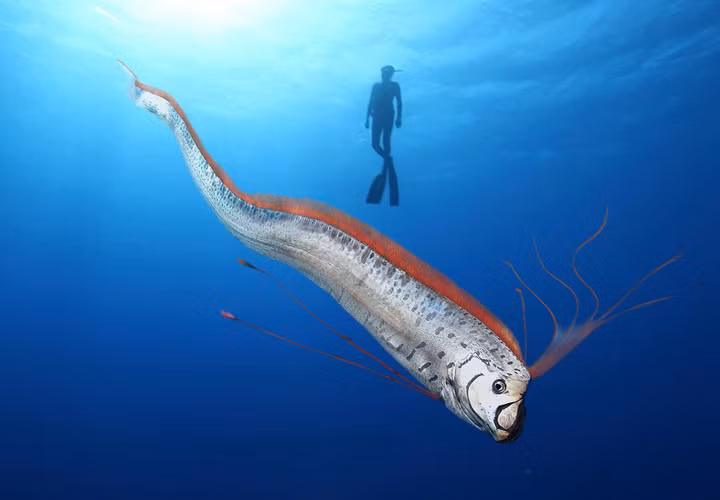 Cheo thuyen kayak, bat ngo dung trung 'ca tan the'-Hinh-6