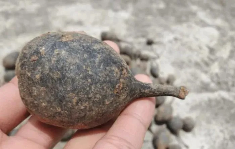 Len nui dung trung qua trung la, soc nang khi biet gia tri that-Hinh-5