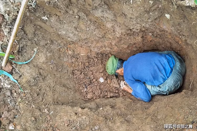 Len nui dung trung qua trung la, soc nang khi biet gia tri that-Hinh-4