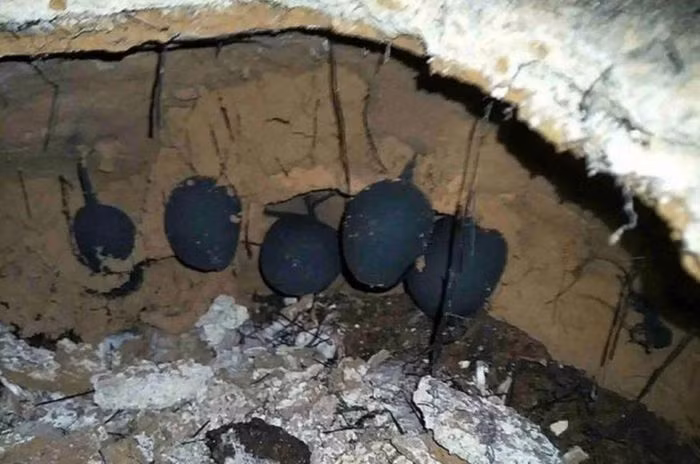 Len nui dung trung qua trung la, soc nang khi biet gia tri that