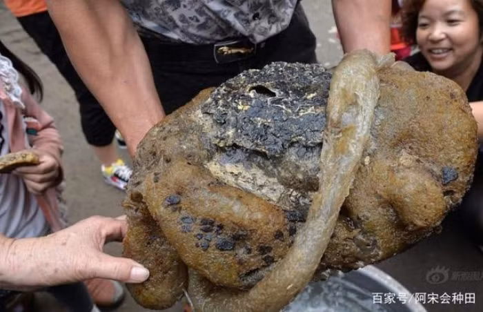 Mang khuc go do ve nha, ai ngo la “bau vat” Troi ban-Hinh-7