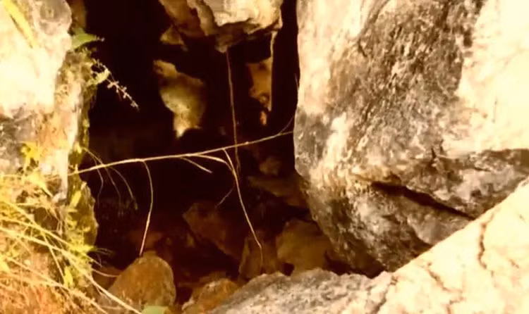 Vao hang bat cao, vo tinh “tom duoc” bao vat nghin nam co mot-Hinh-5