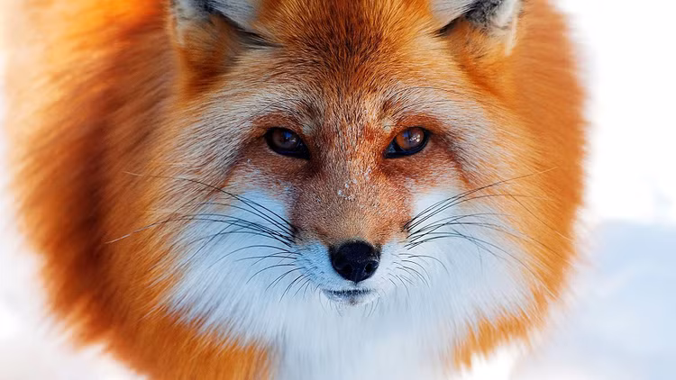 Vao hang bat cao, vo tinh “tom duoc” bao vat nghin nam co mot-Hinh-2