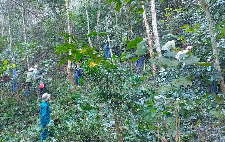 Canh bao chay rung cap do cuc ky nguy hiem o Dien Bien