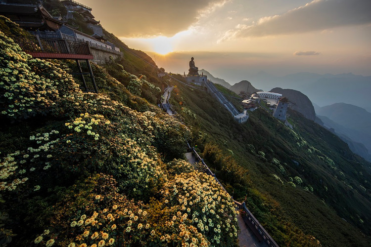 Hoa do quyen dong loat bung no, du khach do len Fansipan check-in ran ran-Hinh-6