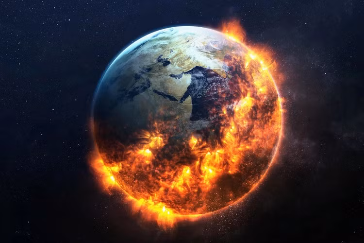 Phat hien soc thu pham gay tuyet chung “hoa thach song” Tay Tang-Hinh-2