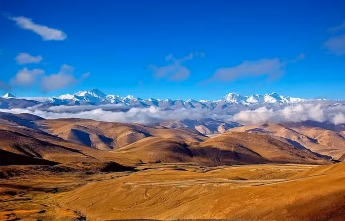 Phat hien soc thu pham gay tuyet chung “hoa thach song” Tay Tang-Hinh-3