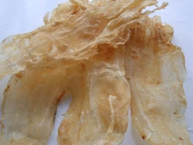 Tận mục cá vảy vàng lóng lánh sa lưới ngư dân Nghệ An - Hình 11 Tan muc ca vay vang long lanh sa luoi ngu dan Nghe An-Hinh-11