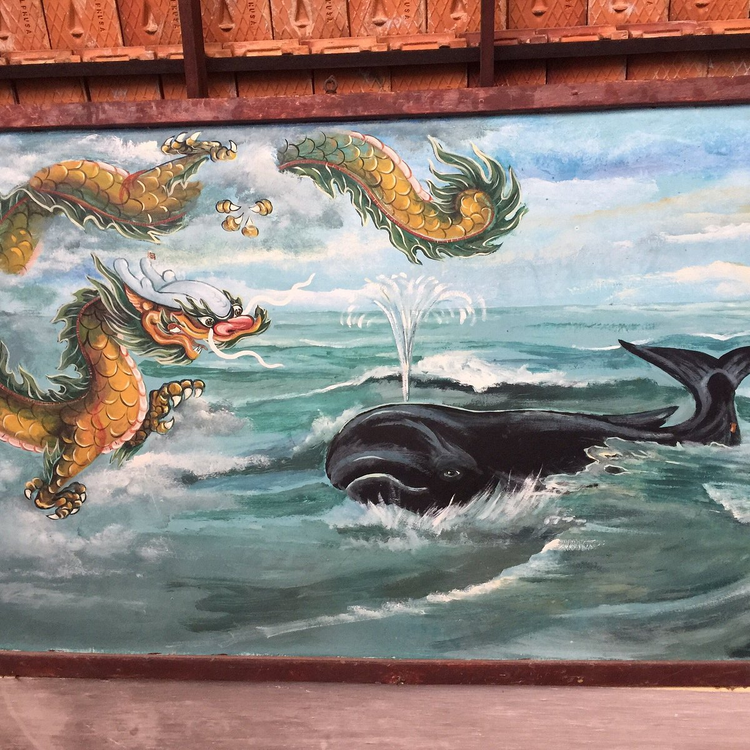 Cận cảnh cá Ông 300 kg cực quý trôi dạt vào bờ biển Trà Vinh - Hình 6 Can canh ca Ong 300 kg cuc quy troi dat vao bo bien Tra Vinh-Hinh-6