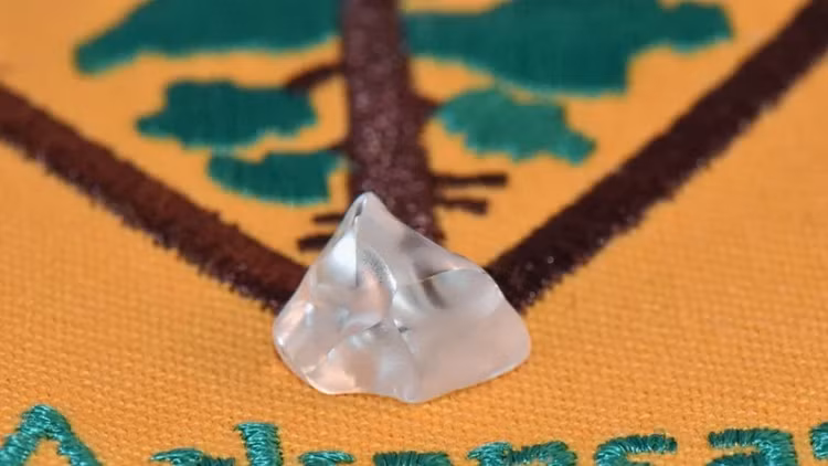 Di dao trong cong vien, cap doi soc toan tap dung trung “kho bau