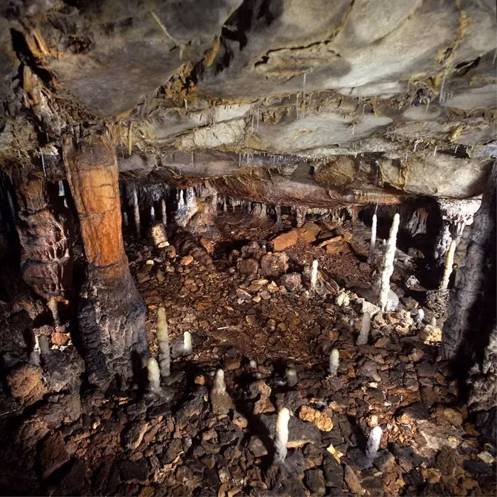 Kham pha hang dong 16.000 nam, sung sot thay kho bau cua loai nguoi-Hinh-3