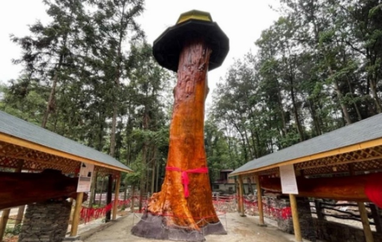 Dao trung khuc go hon 25m, canh sat lap tuc phong toa hien truong vi...-Hinh-7