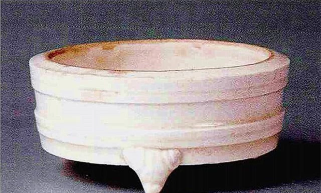 Dao dat tim duoc doi dua la, khong ngo la “bao vat” hang ty dong-Hinh-3