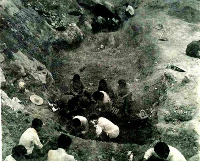 Dao dat tim duoc doi dua la, khong ngo la “bao vat” hang ty dong-Hinh-2