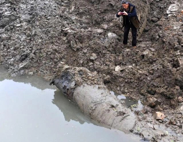 Lao nong dao khuc go khong lo, canh sat lap tuc phong toa hien truong-Hinh-3