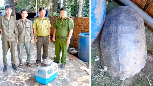 Rua dat duoc giao nop o Binh Phuoc la loai trong Sach Do