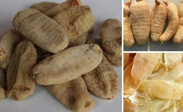 Loại củ từng là 'báu vật', ở Việt Nam bán rẻ như cho - Hình 4 Loai cu tung la 'bau vat', o Viet Nam ban re nhu cho-Hinh-4