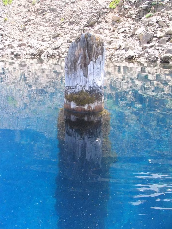 Khuc go ky la noi thang dung tren ho, hang tram nam khong muc