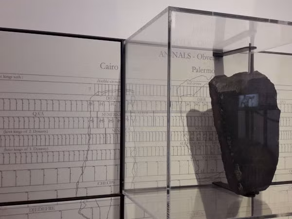 Phien da xuyen khong tu the gioi khac, chuyen gia dien cuong giai ma-Hinh-4