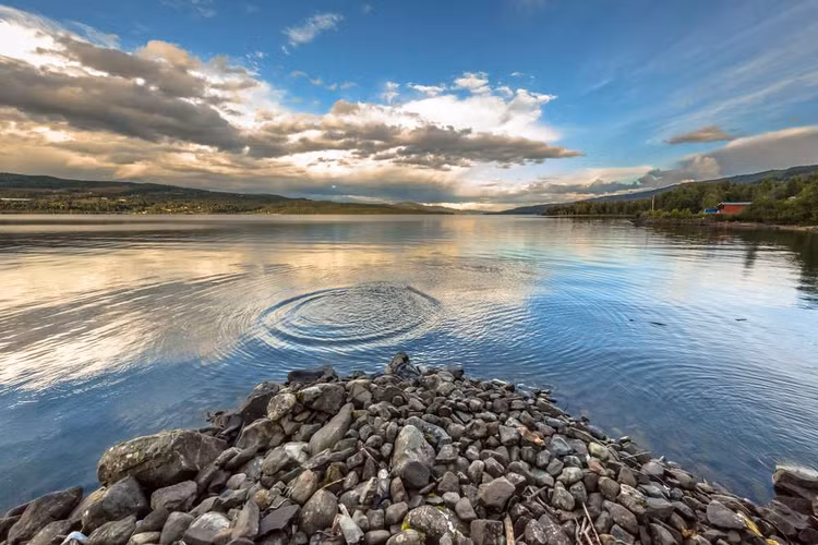 'Tau ma' dai gan 10m hien hinh sau 700 nam bi chon vui-Hinh-6