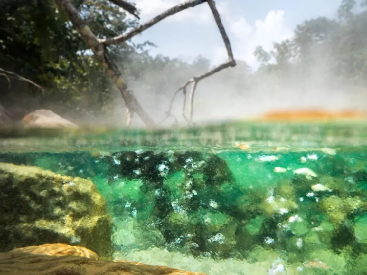 Dong song tu than o Amazon, roi vao 'mat mang nhu choi'-Hinh-3