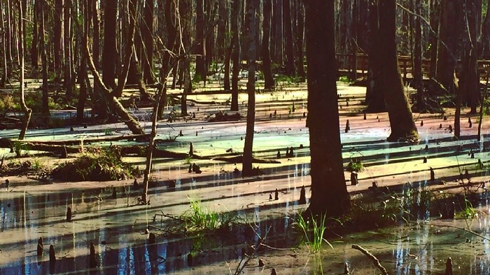 Me dam canh than tien o “dam lay cau vong” dep nhat the gioi-Hinh-12