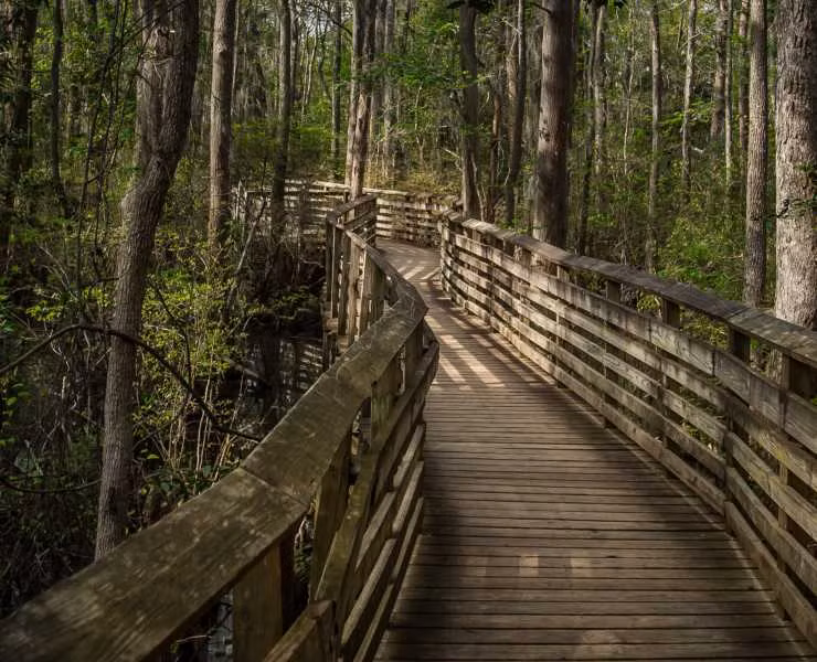 Me dam canh than tien o “dam lay cau vong” dep nhat the gioi-Hinh-2