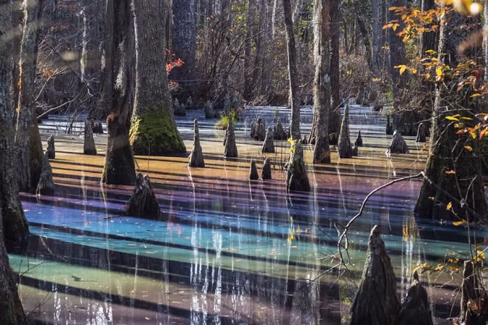 Me dam canh than tien o “dam lay cau vong” dep nhat the gioi-Hinh-7