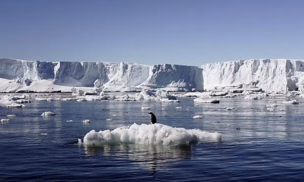 Bang vinh cuu tren cao nguyen Thanh Tang tan chay, chuyen gia 