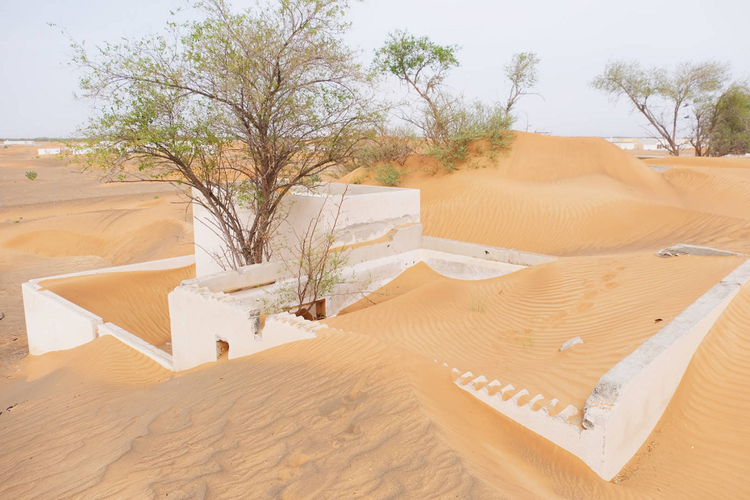 Rung minh 'thi tran ma' thoat an thoat hien, den dem la mat hut-Hinh-5