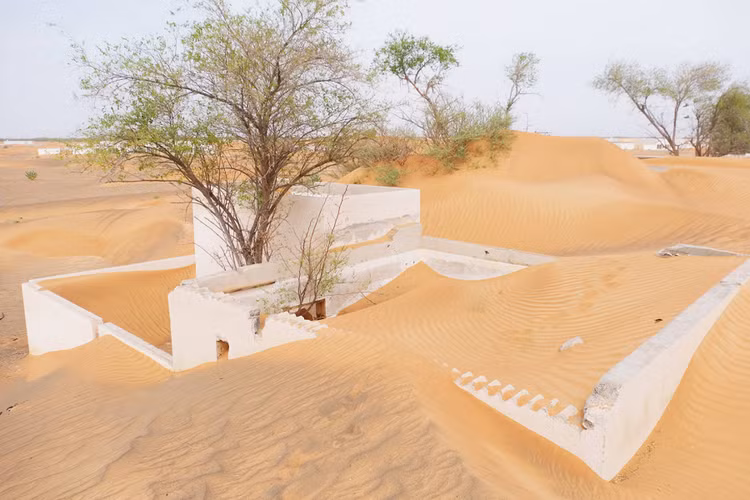 Rung minh 'thi tran ma' thoat an thoat hien, den dem la mat hut-Hinh-5