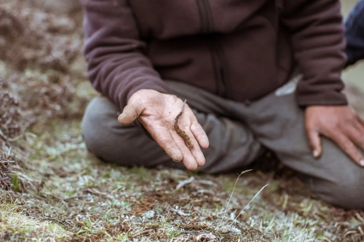 Khai quat mo co duoi nuoc, chuyen gia that kinh khi thay thu nay-Hinh-7