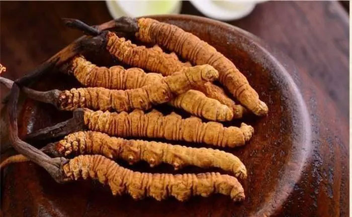 Khai quat mo co duoi nuoc, chuyen gia that kinh khi thay thu nay-Hinh-5