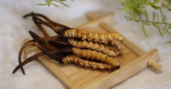 Khai quat mo co duoi nuoc, chuyen gia that kinh khi thay thu nay-Hinh-6