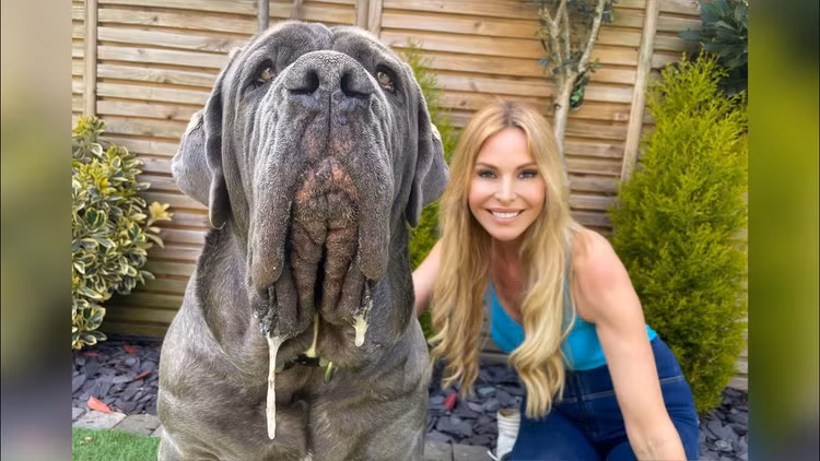 Giong cho ky la nhat hanh tinh: Biet leo cay, chan 6 ngon, co mao-Hinh-6