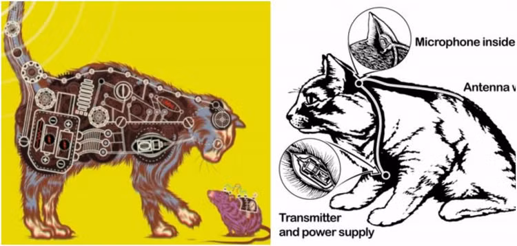 Nhung cong cu gian diep sieu tinh vi cua CIA, ngo ngang so 8-Hinh-8