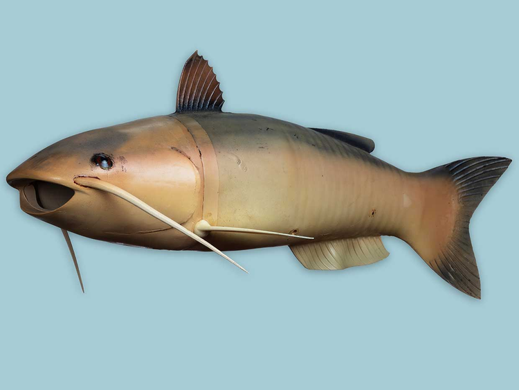 Nhung cong cu gian diep sieu tinh vi cua CIA, ngo ngang so 8