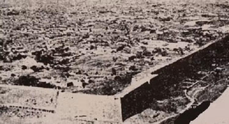 Hai hung tham hoa thien nhien dot ngot, “xoa so” ca thanh pho-Hinh-7