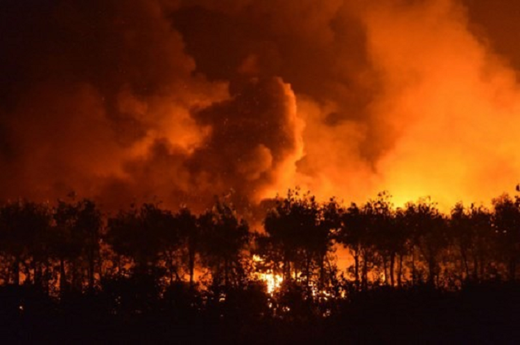 Hai hung tham hoa thien nhien dot ngot, “xoa so” ca thanh pho-Hinh-8