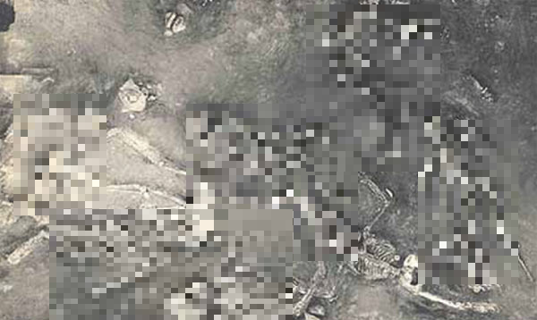 Hai hung tham hoa thien nhien dot ngot, “xoa so” ca thanh pho-Hinh-2