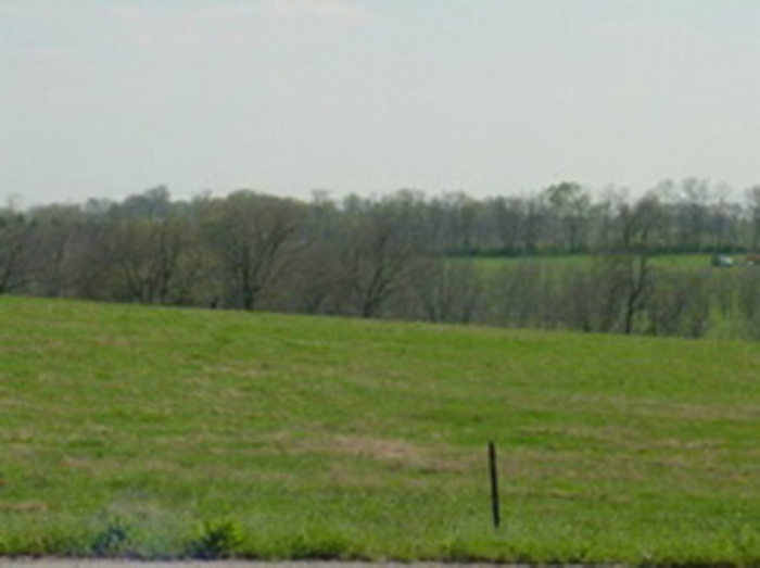 Ky la nhung vu mat tich “ma quai” dien ra ngay truoc mat nhan chung-Hinh-7