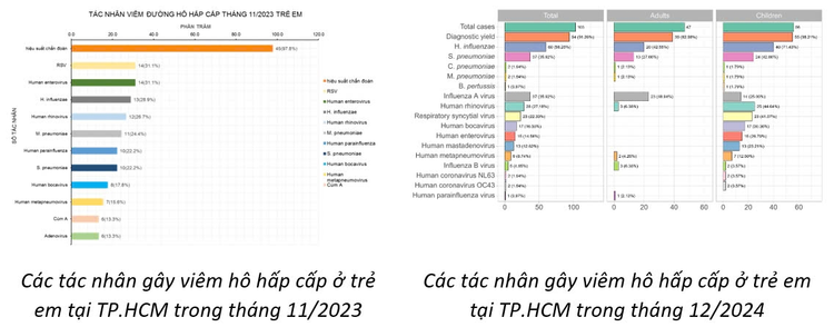 HMPV khong phai la virus moi, tung duoc phat hien tai TPHCM-Hinh-2