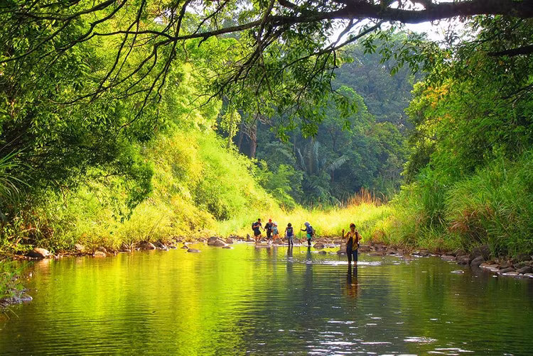 Tha 14 loai dong vat cuc hiem ve rung tu nhien VQG Bu Gia Map-Hinh-6