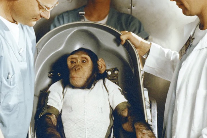 Ly kỳ chuyện chú mèo đầu tiên và duy nhất bay vào không gian - Hình 2 Ly ky chuyen chu meo dau tien va duy nhat bay vao khong gian-Hinh-2