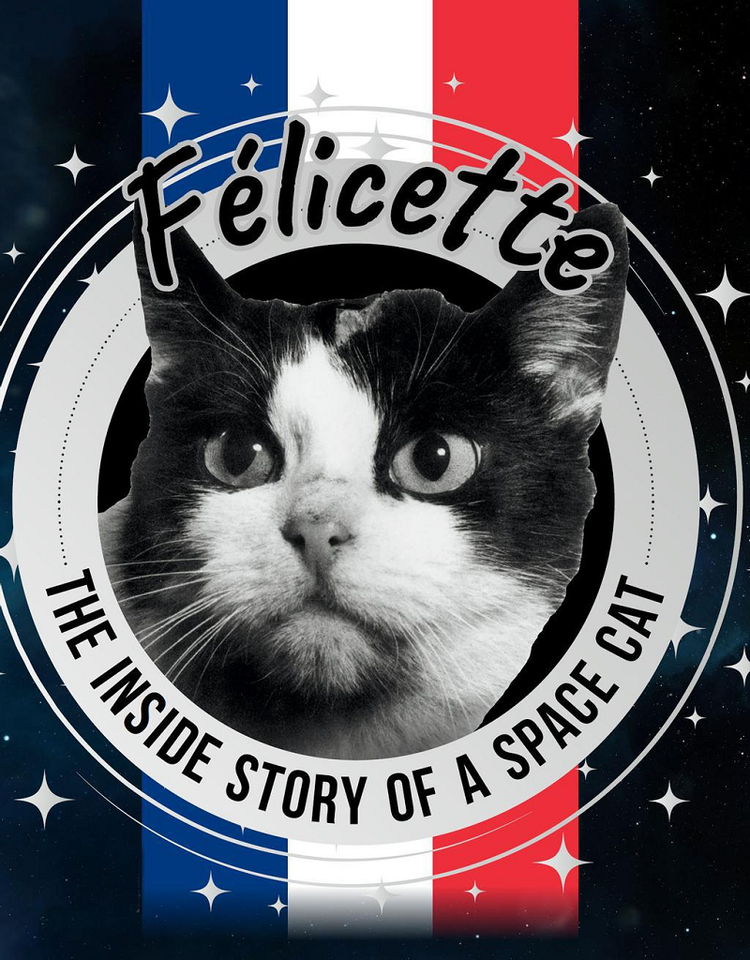 Ly kỳ chuyện chú mèo đầu tiên và duy nhất bay vào không gian - Hình 10 Ly ky chuyen chu meo dau tien va duy nhat bay vao khong gian-Hinh-10