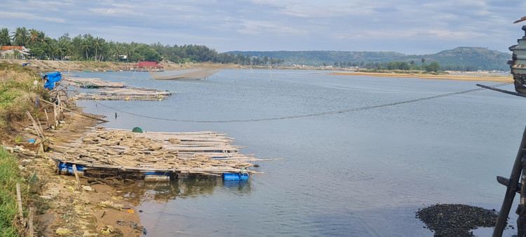 Den xu “hoa vang co xanh”, ngam cay cau go dai nhat Viet Nam-Hinh-10