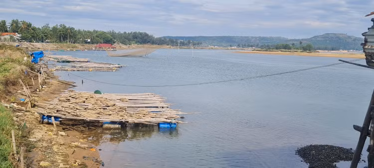 Den xu “hoa vang co xanh”, ngam cay cau go dai nhat Viet Nam-Hinh-10